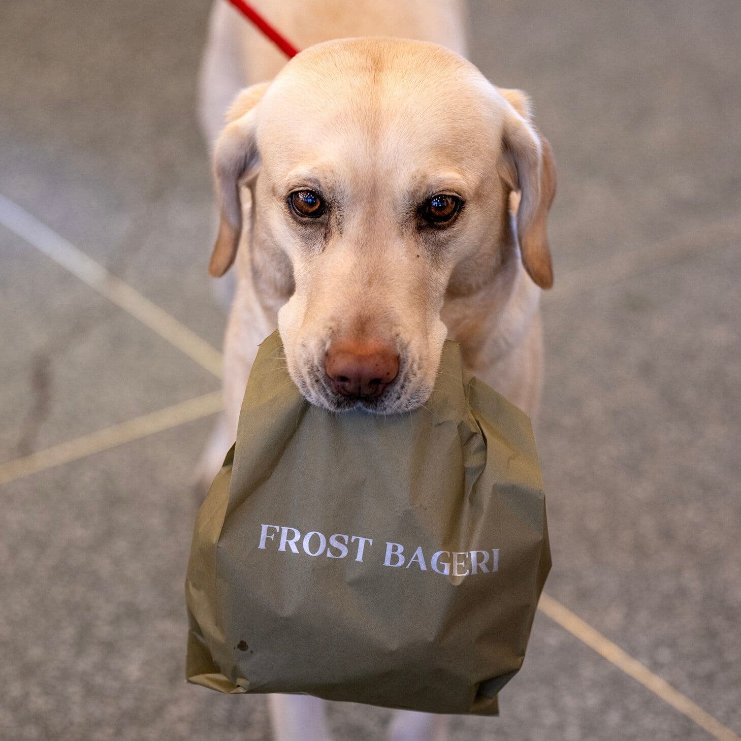5 New Stockholm Bakeries