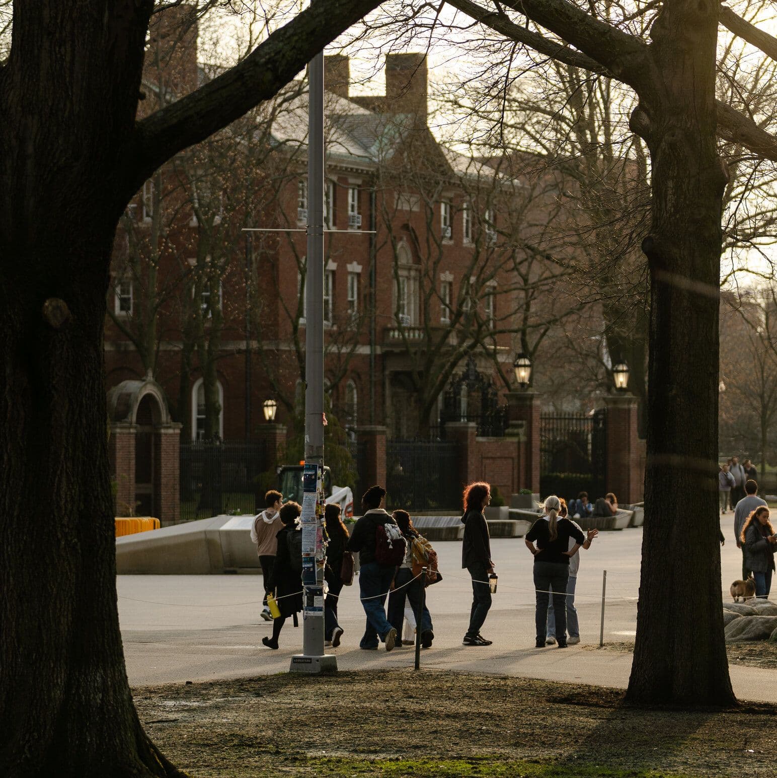 Research Funding Slows Again for Universities Targeted by White House