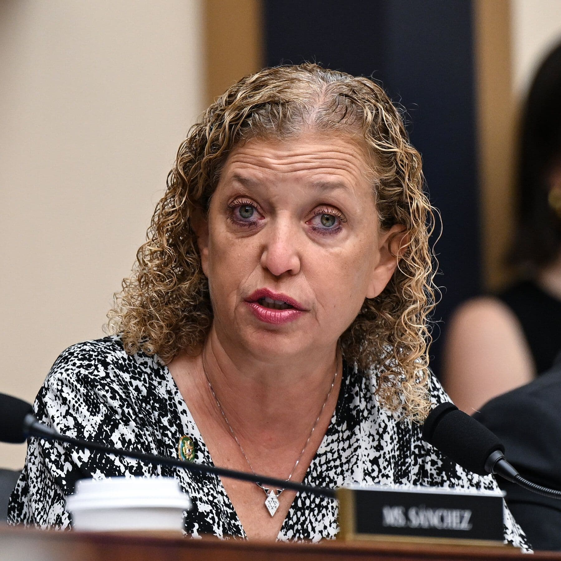 Wasserman Schultz Will Run in Majority-Black District in South Florida