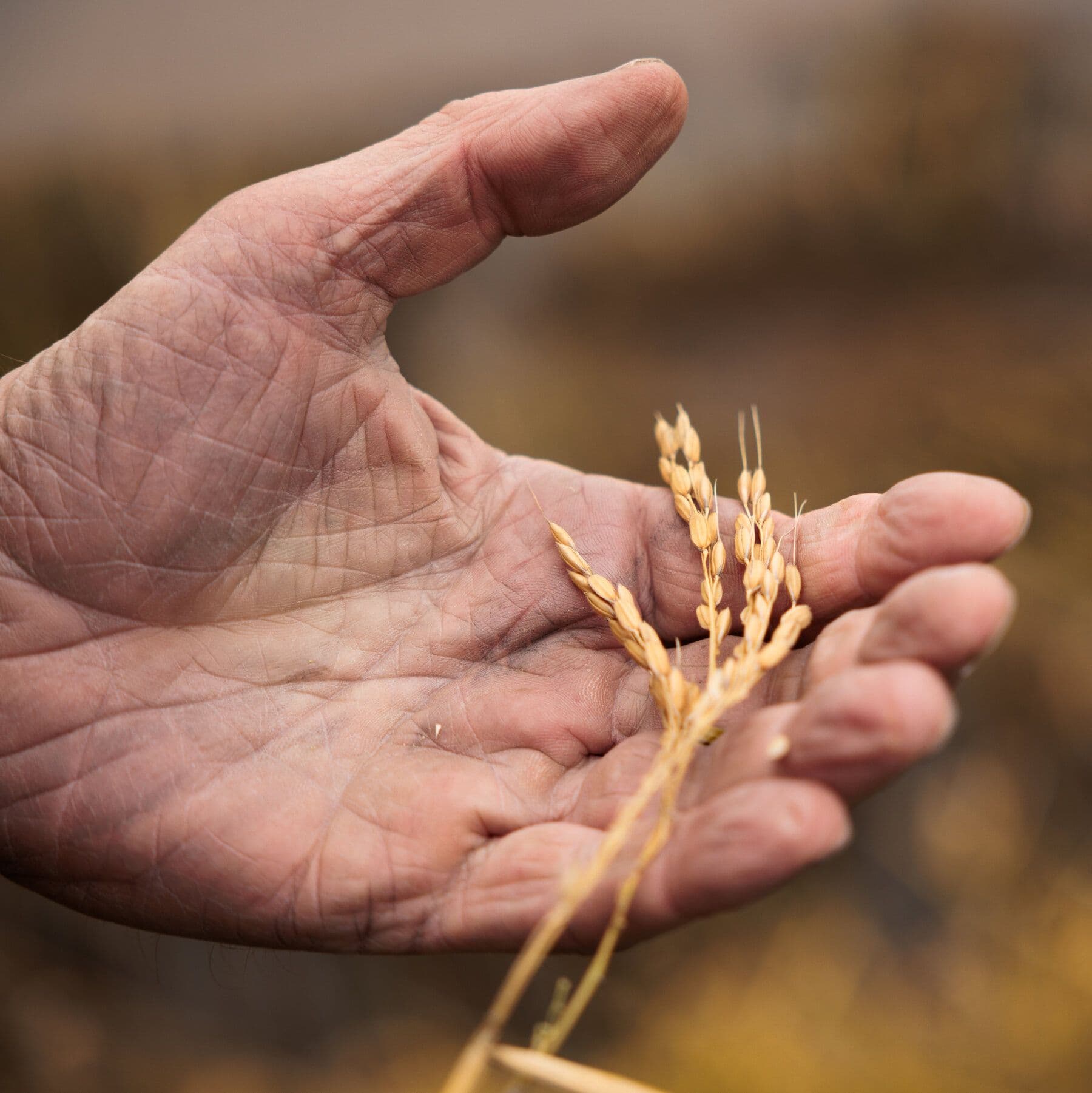House Passes Farm Bill After Republican Infighting